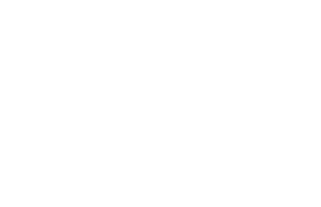 DSA-Logo